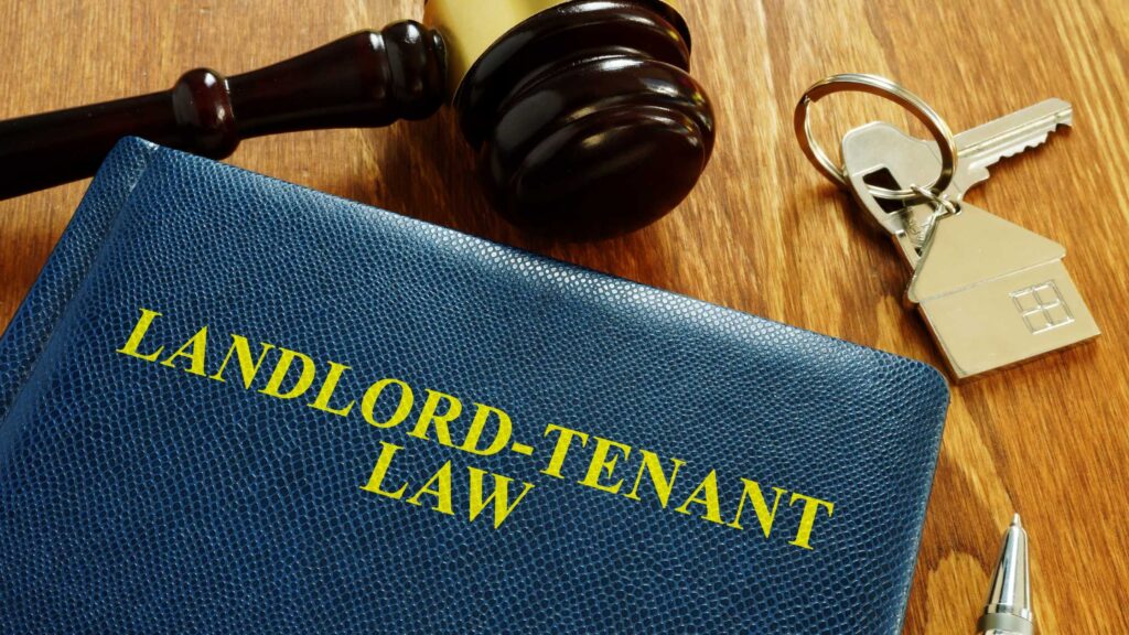 Know Your Rights: A Renter's Guide to Tenant Laws and Protections