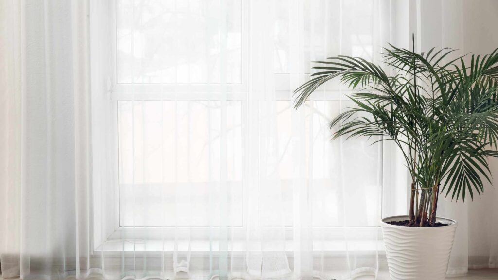 Making the Most of Natural Light: Brightening Up Your Apartment