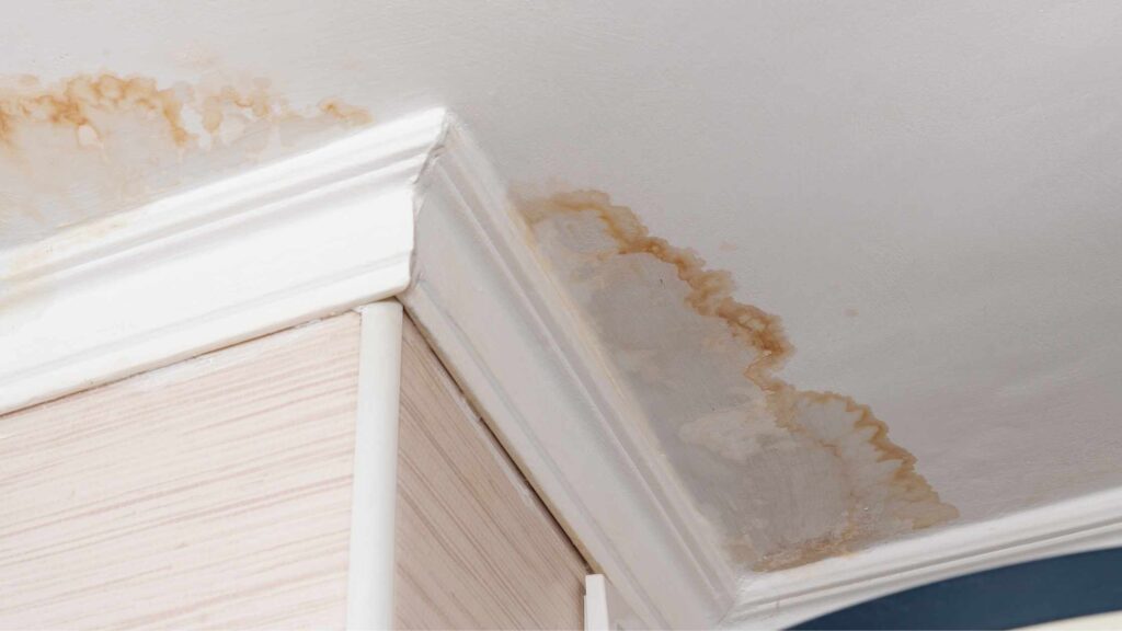 Sealing and Weatherproofing: Preventing Water Damage in Rentals