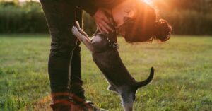 Renter's Rights with Emotional Support Animals: Accommodations and Guidelines